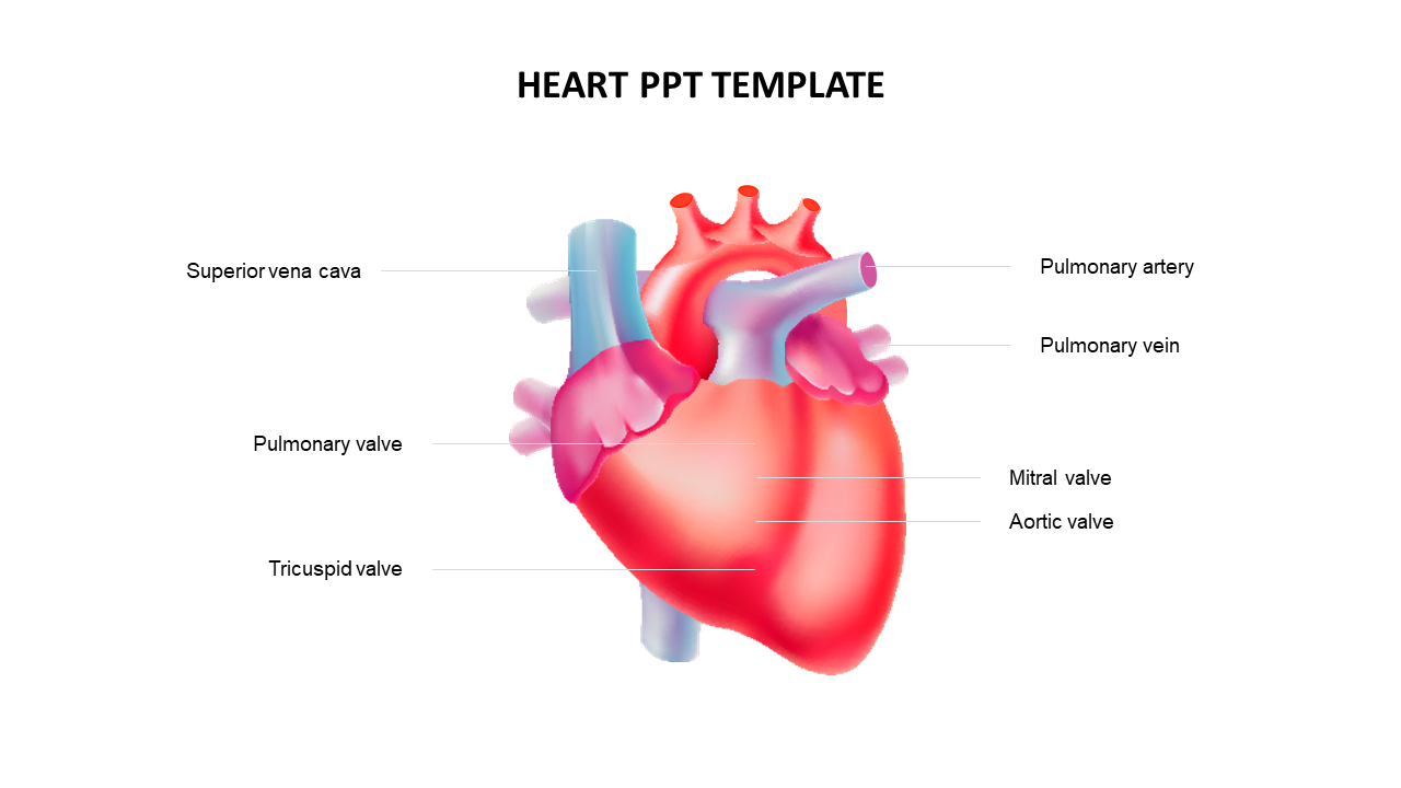 heart ppt template